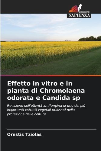 Cover image for Effetto in vitro e in pianta di Chromolaena odorata e Candida sp