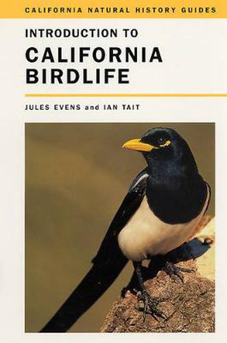 Cover image for Introduction to California Birdlife