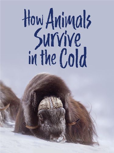 How Animals Survive in the Cold: English Edition