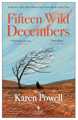 Cover image for Fifteen Wild Decembers