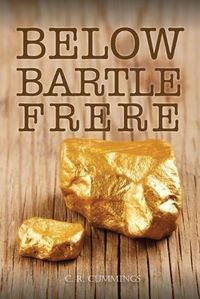 Cover image for Below Bartle Frere