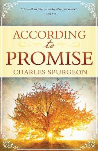 Cover image for According to Promise