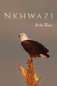 Cover image for Nkhwazi