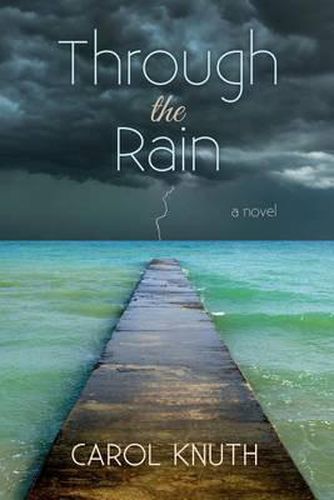 Cover image for Through the Rain