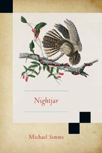 Cover image for Nightjar