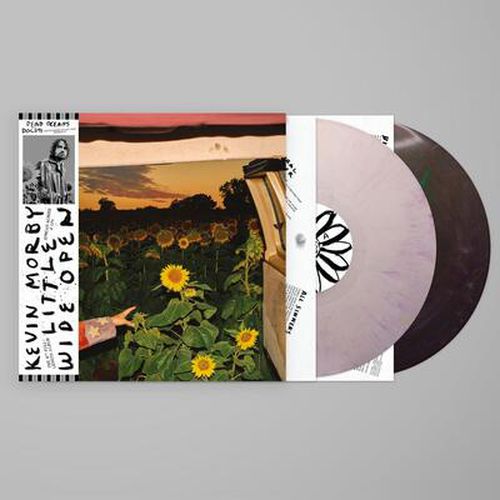 Cover image for Little Wide Open (Ecomix Vinyl 2LP)