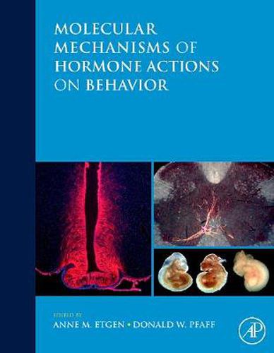 Cover image for Molecular Mechanisms of Hormone Actions on Behavior