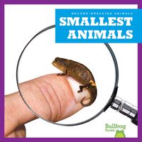 Cover image for Smallest Animals