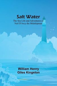 Cover image for Salt Water