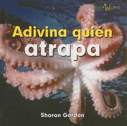 Cover image for Adivina Quien Atrapa (Guess Who Grabs)