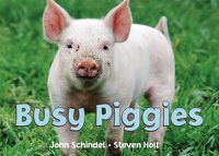 Cover image for Busy Piggies