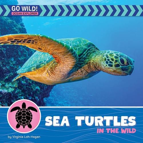 Cover image for Sea Turtles in the Wild