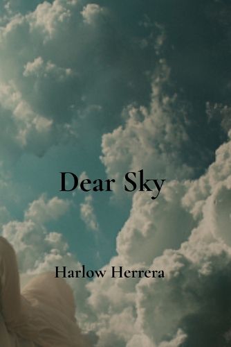 Cover image for Dear Sky