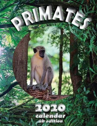 Cover image for Primates 2020 Calendar (UK Edition)