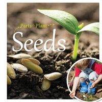 Cover image for Seeds