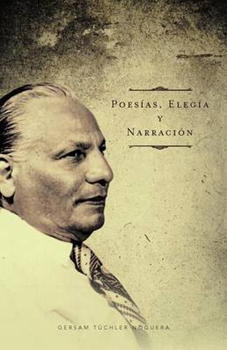 Cover image for Poes As, Eleg A Y Narraci N