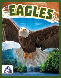 Cover image for Birds of Prey: Eagles