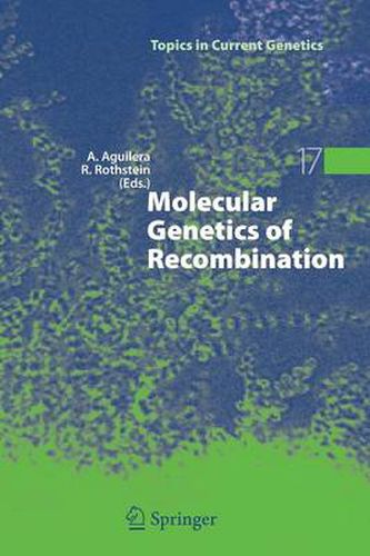 Cover image for Molecular Genetics of Recombination