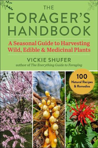 Cover image for The Forager's Handbook: A Seasonal Guide to Harvesting Wild, Edible & Medicinal Plants