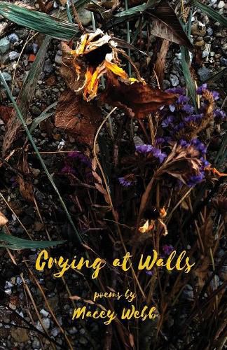 Cover image for Crying at Walls