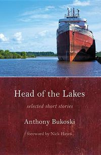 Cover image for Head of the Lakes: Selected Stories