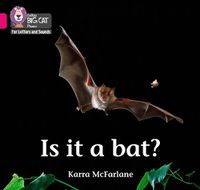 Cover image for Is it a Bat?: Band 01b/Pink B