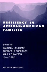 Cover image for Resiliency in African-American Families