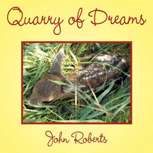 Cover image for Quarry of Dreams