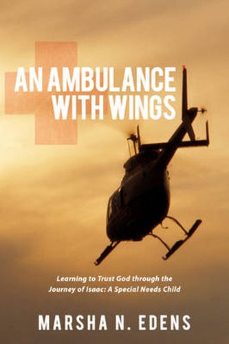 Cover image for An Ambulance With Wings: Learning to Trust God Through the Journey of Isaac: A Special Needs Child