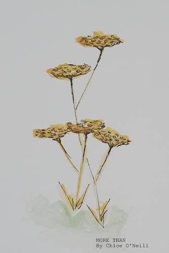 Cover image for More Than