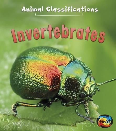 Cover image for Invertebrates (Animal Classifications)