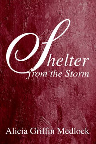 Cover image for Shelter from the Storm