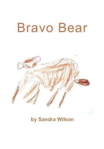 Cover image for Bravo Bear