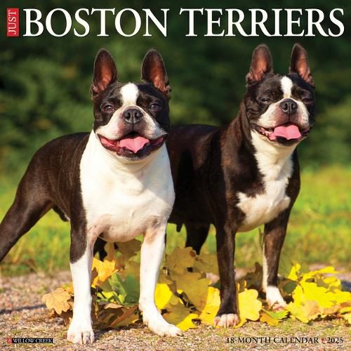 Cover image for Boston Terriers 2026 12 X 12 Wall Calendar