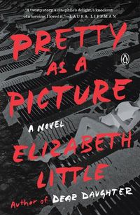 Cover image for Pretty as a Picture: A Novel