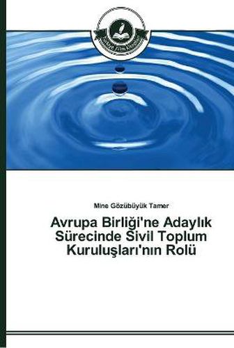 Avrupa Birli&#287;i'ne Adayl&#305;k Surecinde Sivil Toplum Kurulu&#351;lar&#305;'n&#305;n Rolu