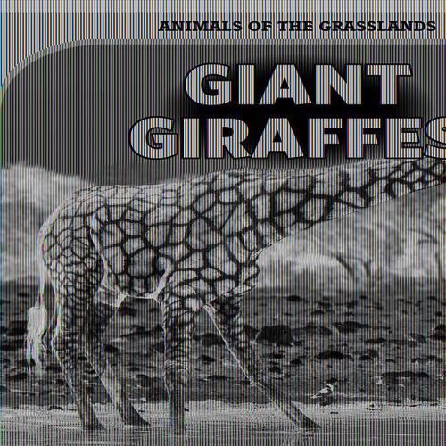 Giant Giraffes