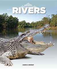 Cover image for In the Rivers