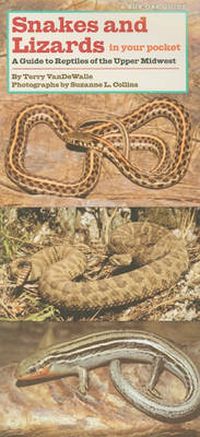 Cover image for Snakes and Lizards in Your Pocket: A Guide to Reptiles of the Upper Midwest