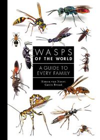 Cover image for Wasps of the World