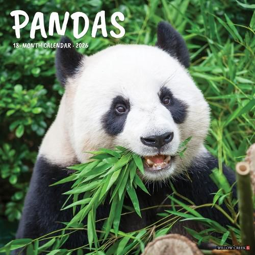 Cover image for Pandas 2026 Wall Calendar