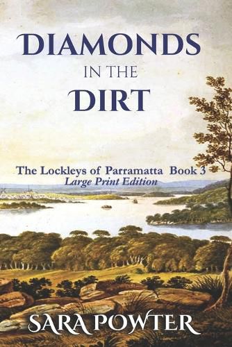 Cover image for Diamonds in the Dirt