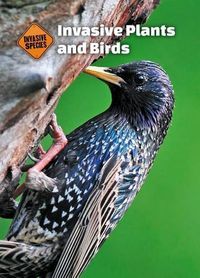 Cover image for Invasive Plants and Birds