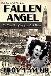 Cover image for Fallen Angel