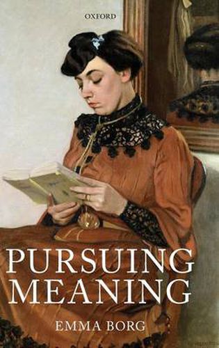 Cover image for Pursuing Meaning