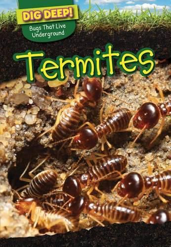 Cover image for Termites