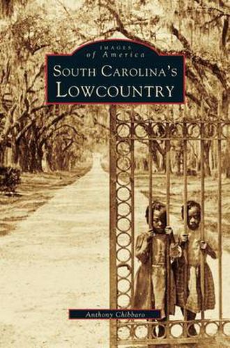 Cover image for South Carolina's Lowcountry