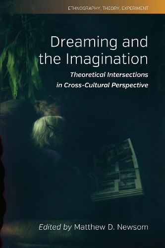 Cover image for Dreaming and the Imagination