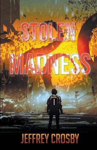 Cover image for Stolen Madness