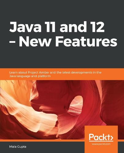 Cover image for Java 11 and 12 - New Features: Learn about Project Amber and the latest developments in the Java language and platform